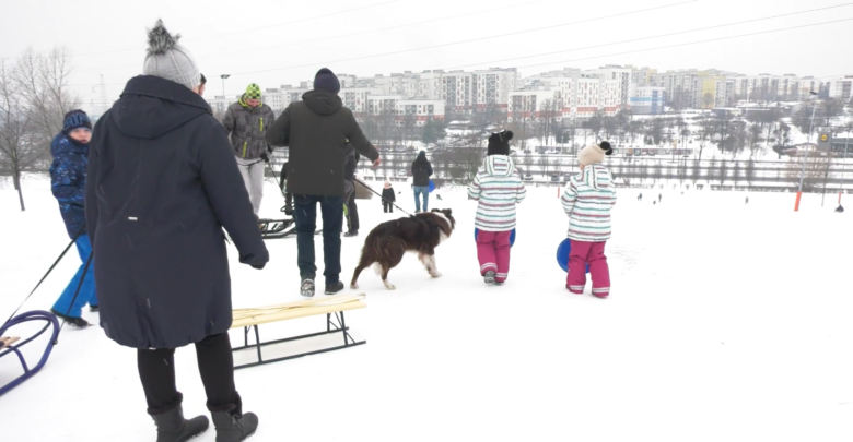 Zimowe szaleństwo w Sosnowcu [WIDEO]