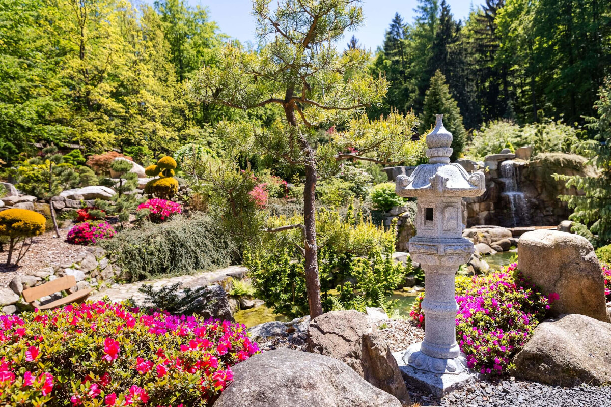 Jak dobrze spędzić czas podczas pobytu na Dolnym Śląsku? Oto kilka koncepcji!