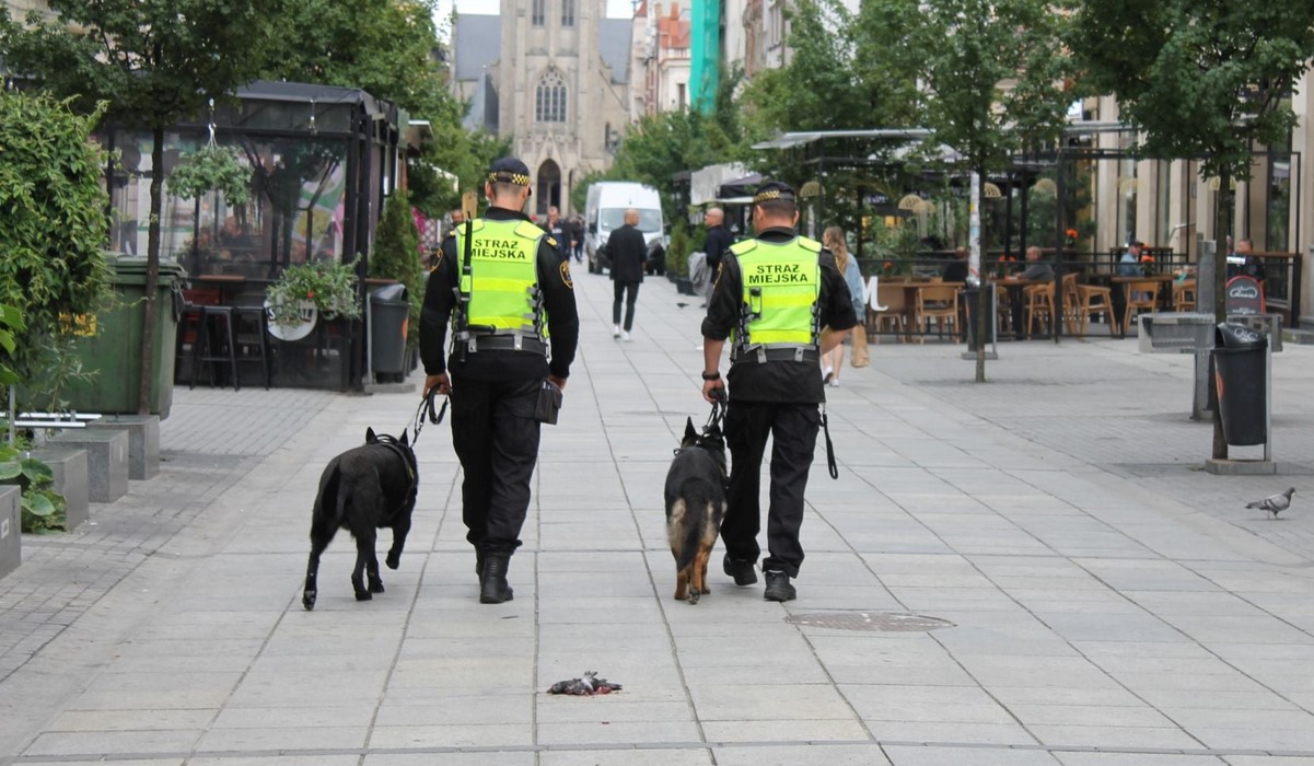 Katowicka Straż Miejska szuka nowych funkcjonariuszy. Wolne aż 23 etaty