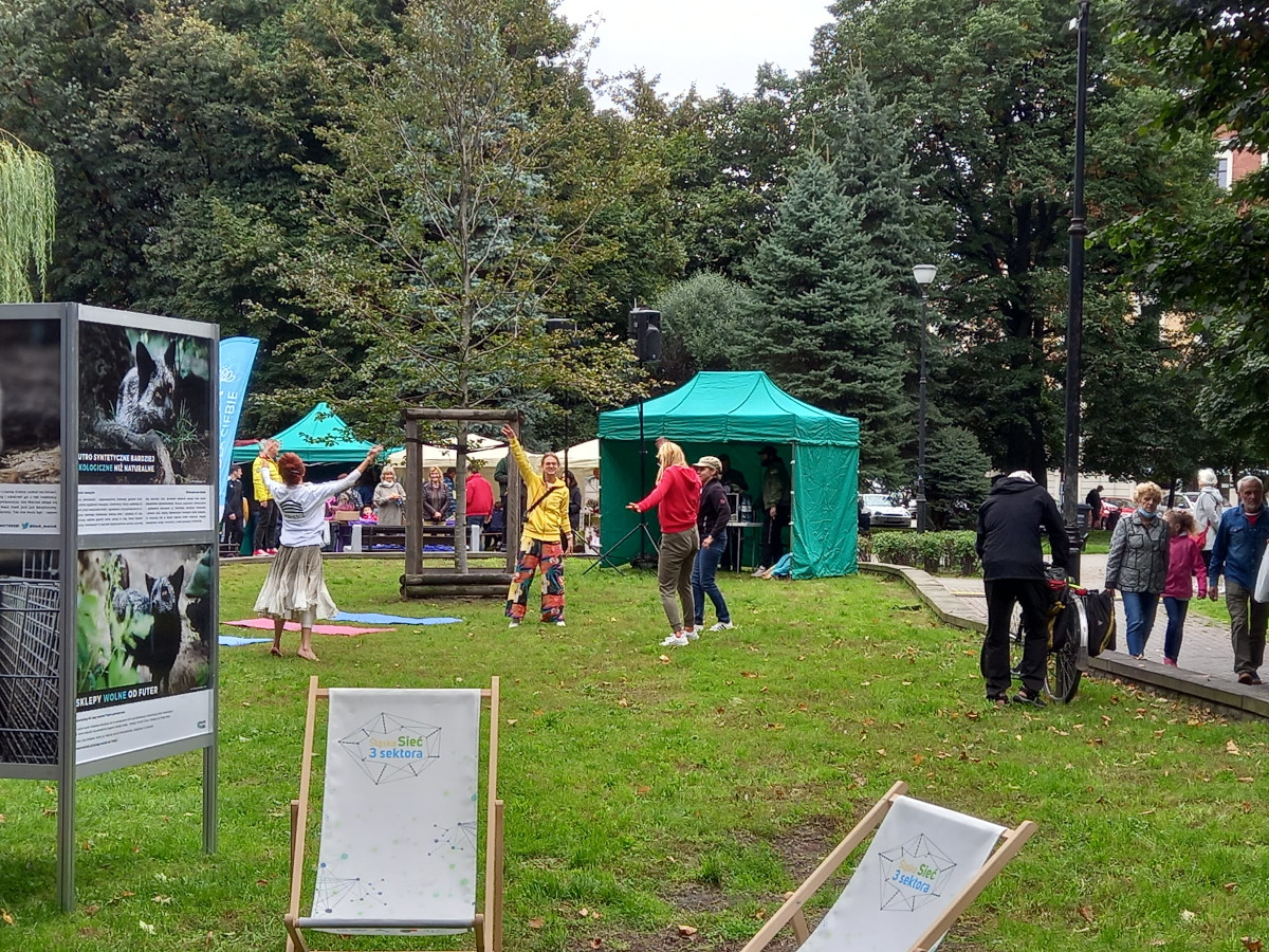 Ponad 50 tysięcy złotych na pomysły młodych katowiczan