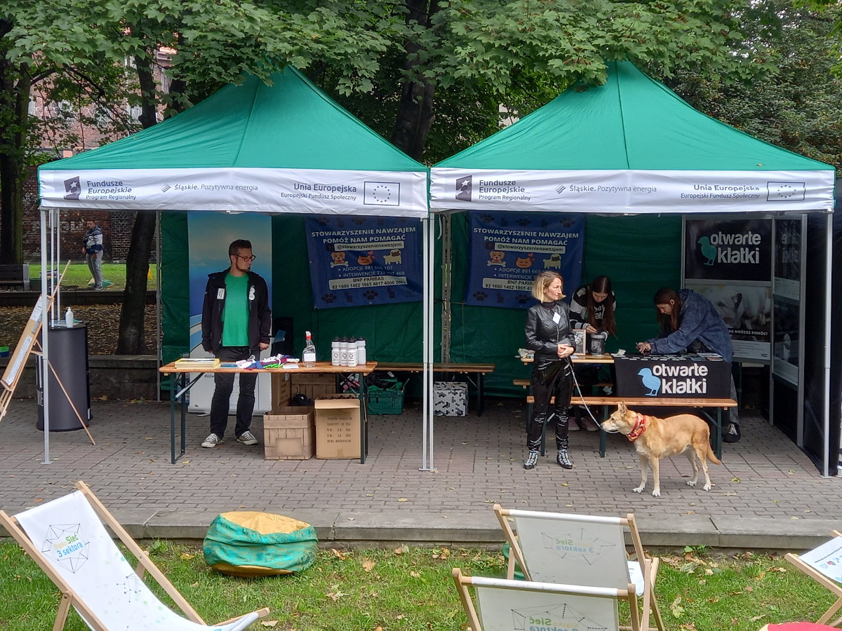 Ponad 50 tysięcy złotych na pomysły młodych katowiczan