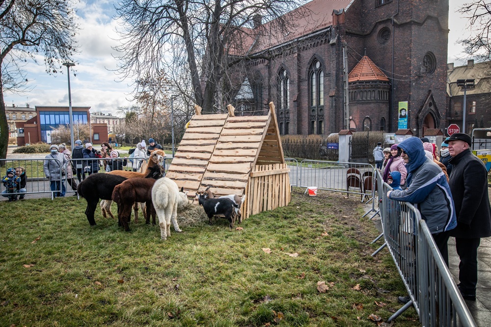 Żywa szopka w Świętochłowicach 15
