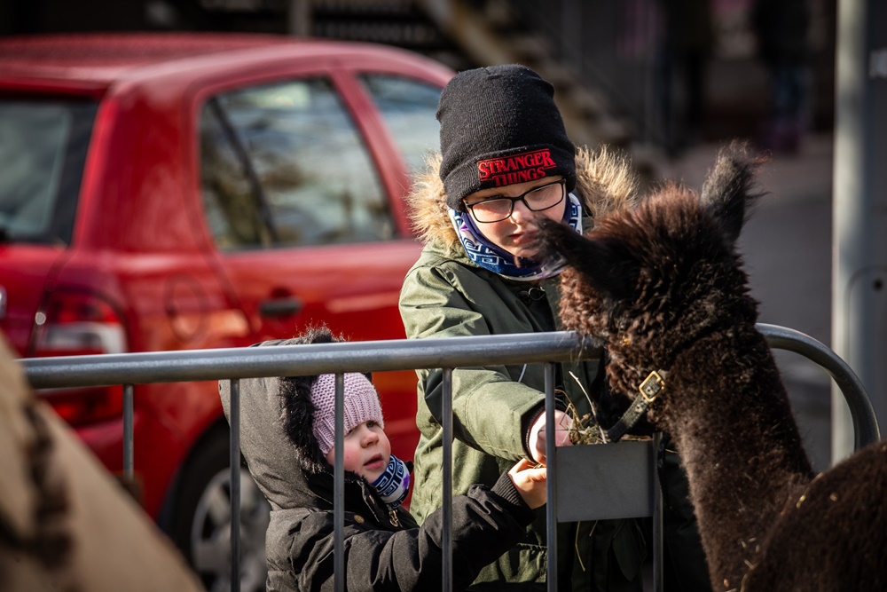 Żywa szopka w Świętochłowicach 18