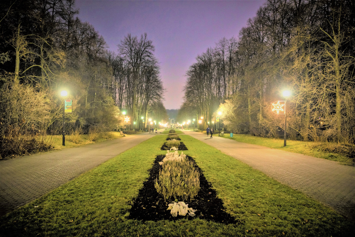 W Parku Śląskim pojawi się aż 200 nowych latarni