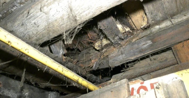 Świętochłowice: Dom państwa Stanisławek się sypie. Co na to miasto? [WIDEO]