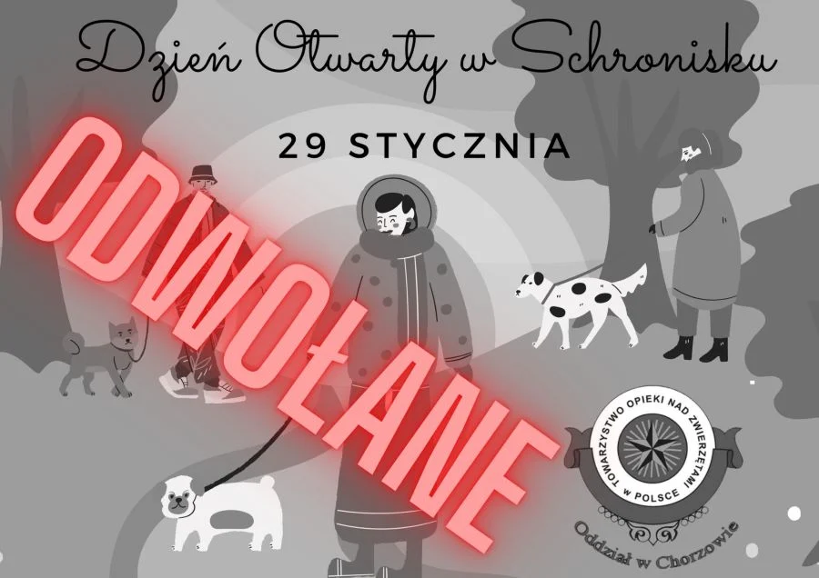 Dzień Otwarty w Schronisku odwołany!