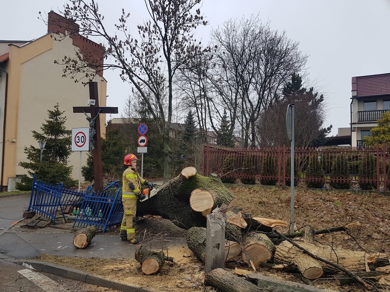 W Chorzowie trwa usuwanie skutków wichury, która przeszła przez miasto