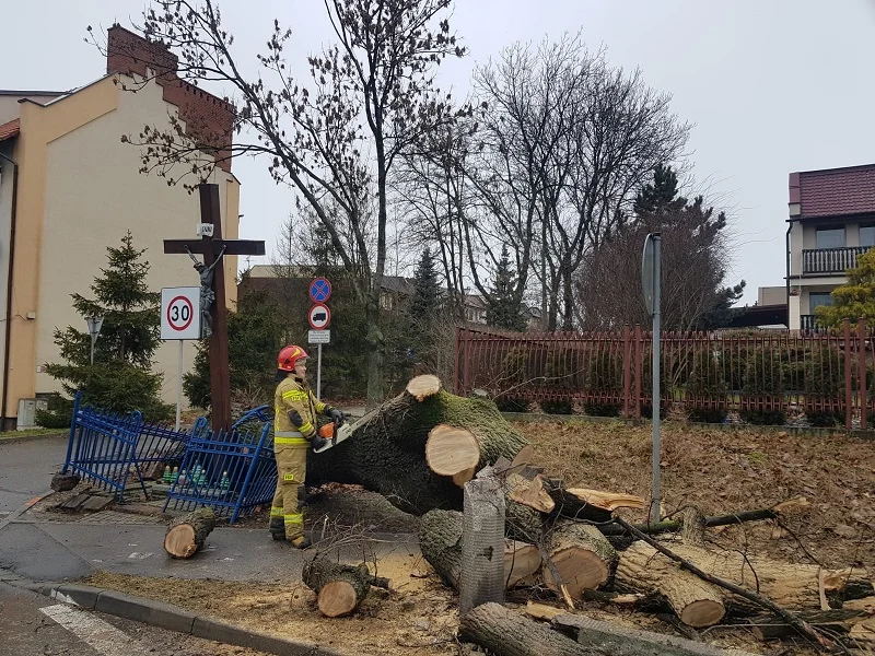 W Chorzowie trwa usuwanie skutków wichury, która przeszła przez miasto