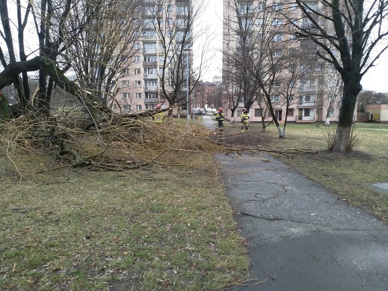 W Chorzowie trwa usuwanie skutków wichury, która przeszła przez miasto
