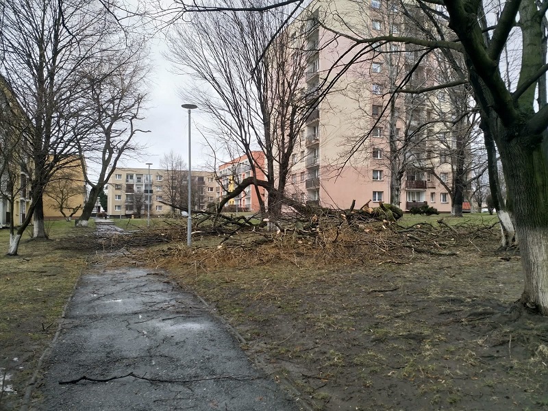 W Chorzowie trwa usuwanie skutków wichury, która przeszła przez miasto