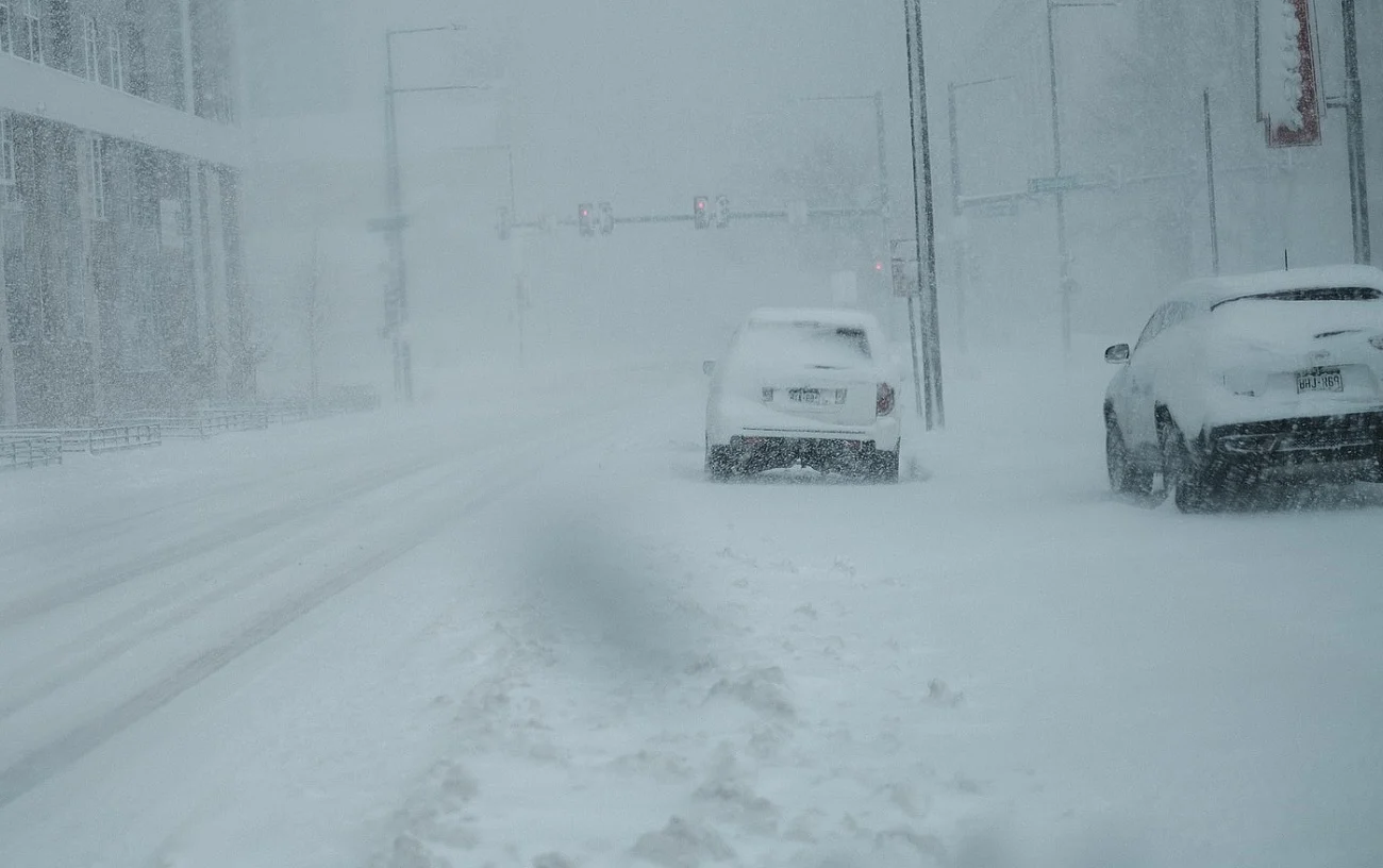 Kolizje i połamane drzewa. Skutki załamania pogody w Zabrzu
