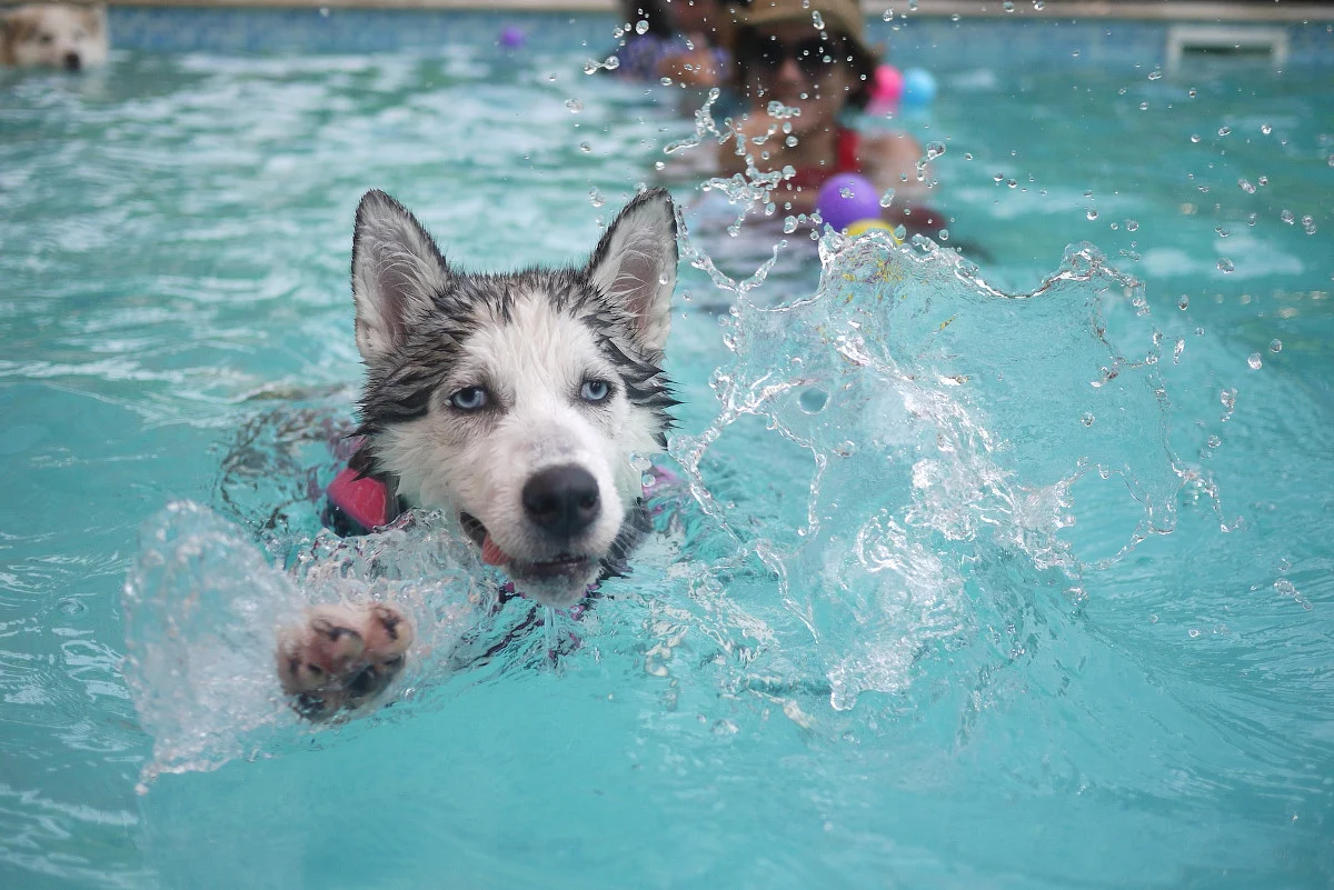 Basen czy jacuzzi dmuchane – co wybrać do ogrodu?
