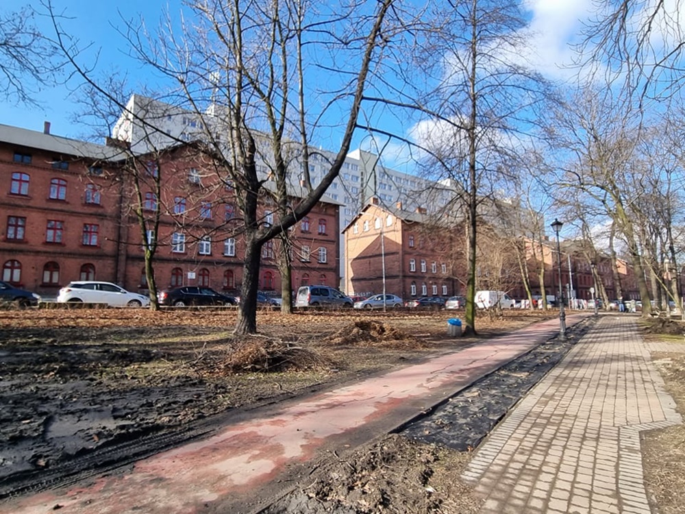 Modernizacja Parku Dworskiego 1