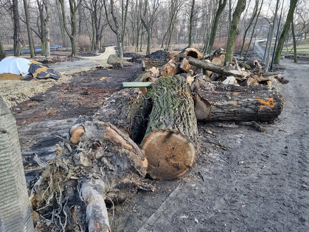 Modernizacja Parku Dworskiego 8