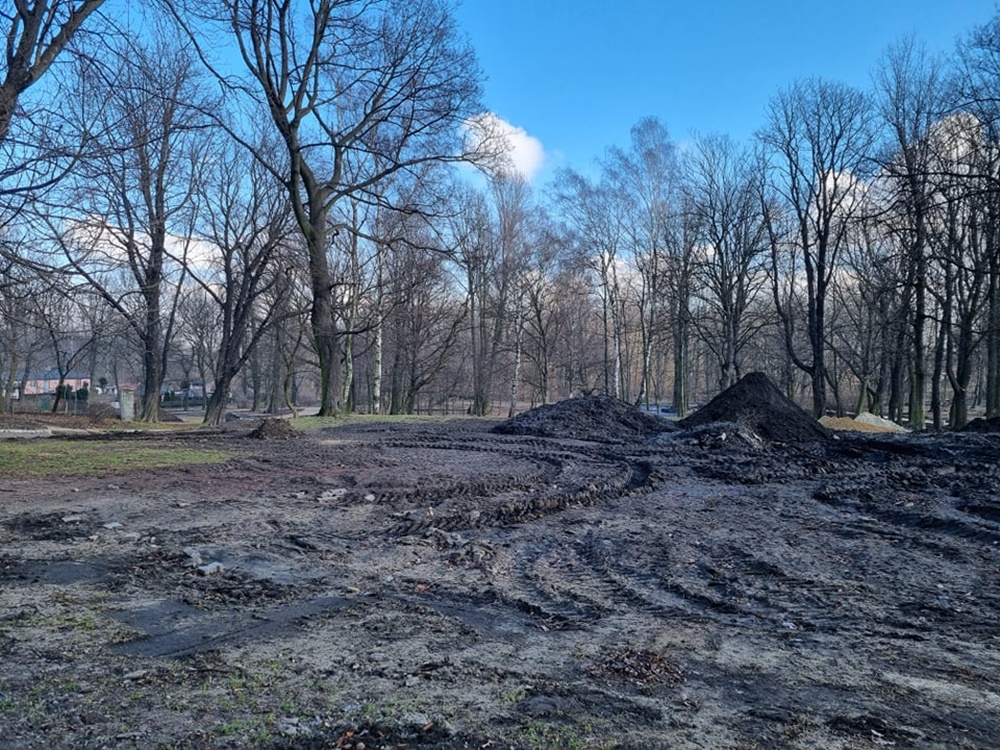 Modernizacja Parku Dworskiego 11