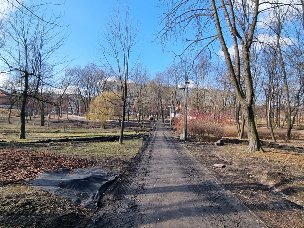 Modernizacja Parku Dworskiego 17