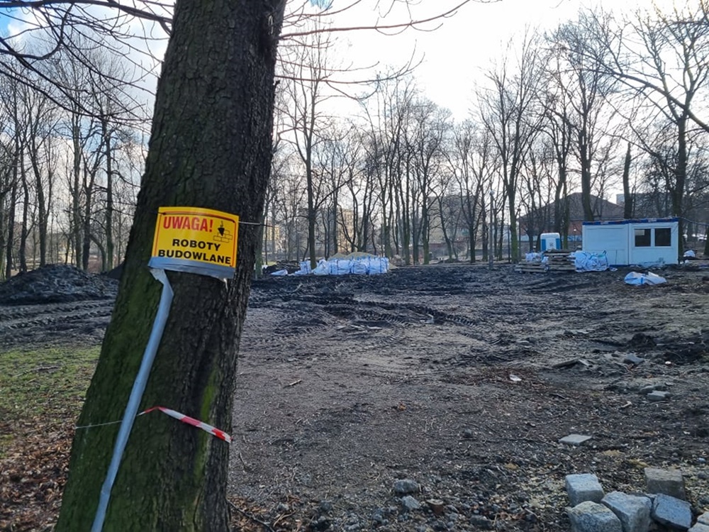 Modernizacja Parku Dworskiego 19