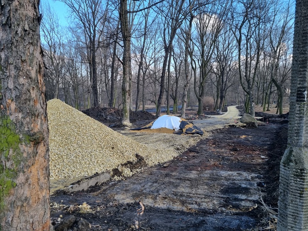 Modernizacja Parku Dworskiego 20