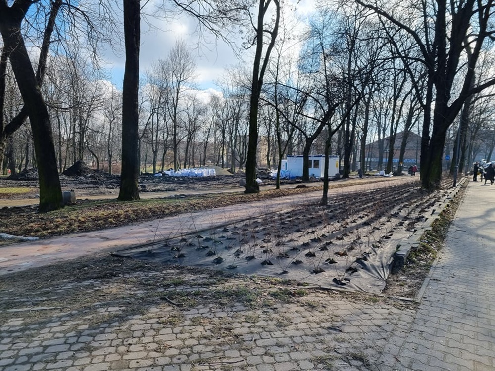 Modernizacja Parku Dworskiego 22