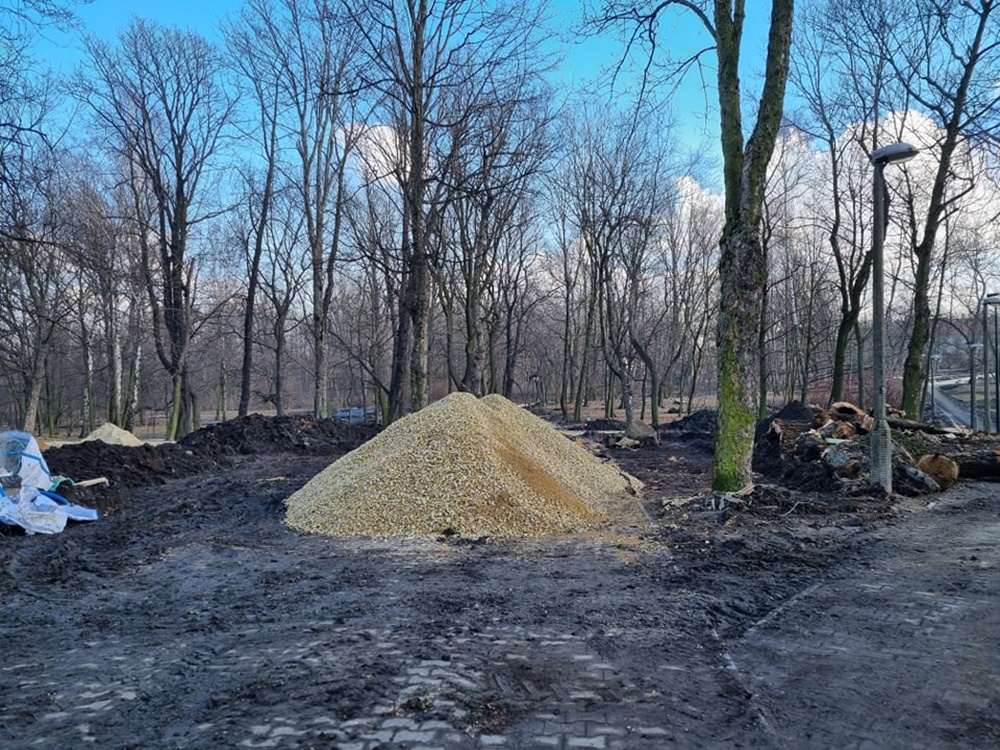 Modernizacja Parku Dworskiego 24