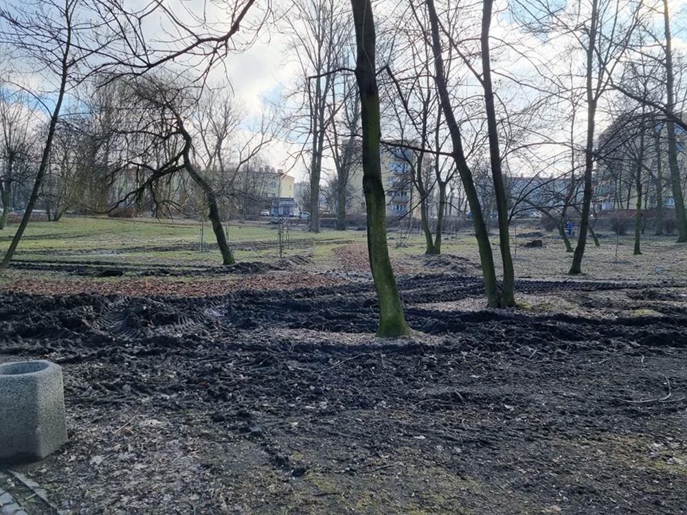 Modernizacja Parku Dworskiego 26