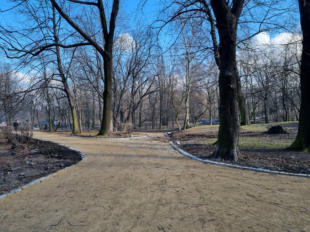 Modernizacja Parku Dworskiego 29