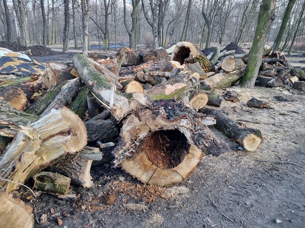 Modernizacja Parku Dworskiego 30