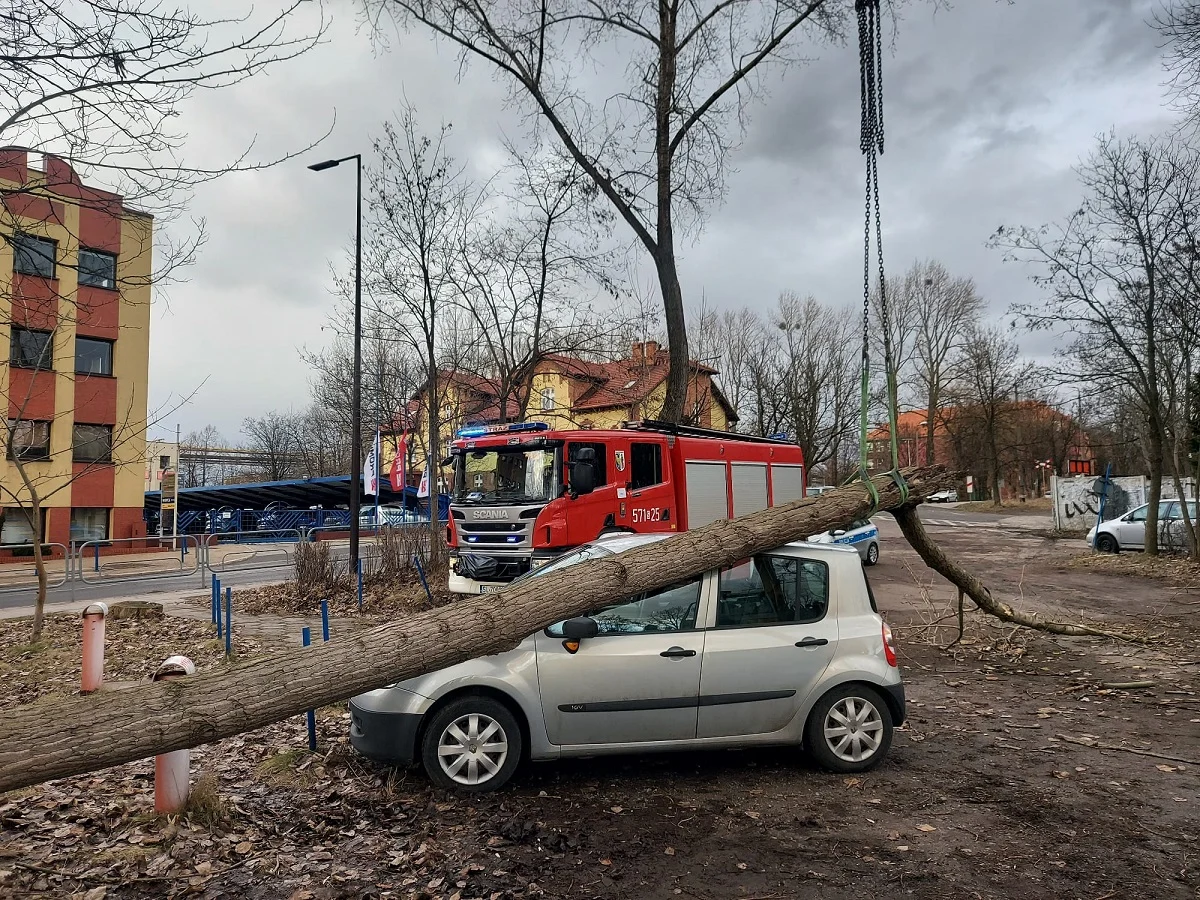 Podsumowanie skutków silnego wiatru. Jak sytuacja wyglądała w Rudzie Śląskiej?