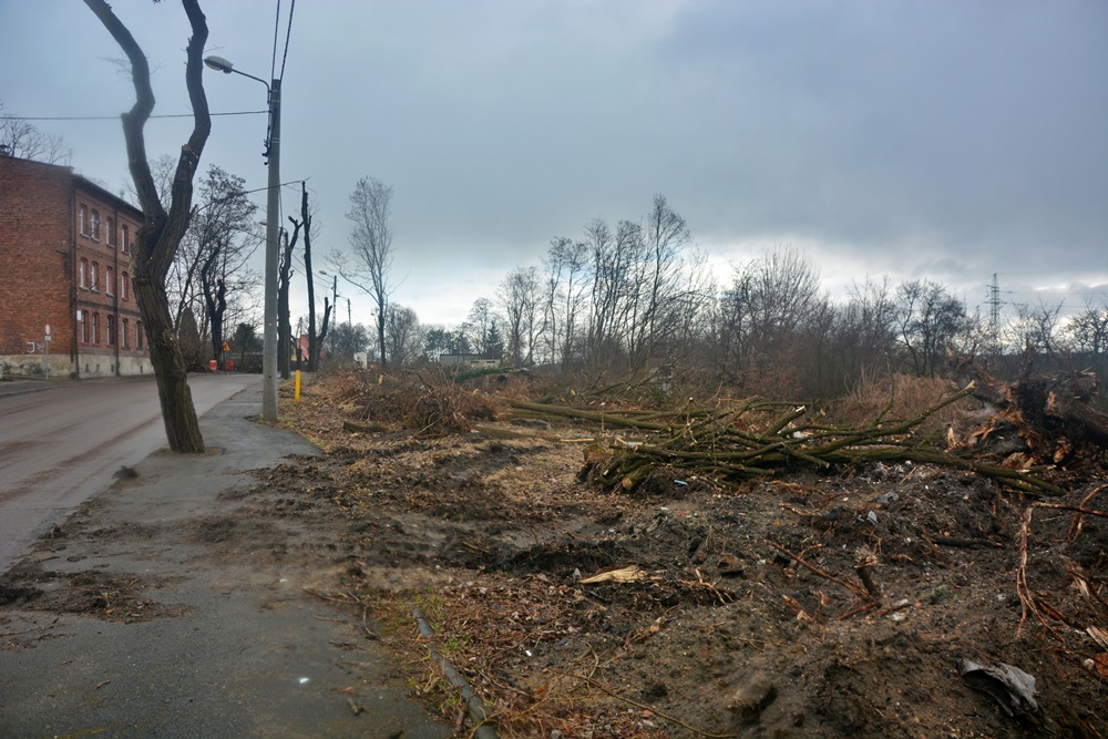 Budowa kolejnego etapu trasy N-S 25