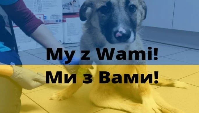 TOZ  "Fauna" zaoferowało wsparcie przy obejmowaniu opieką zwierząt uchodźców z Ukrainy