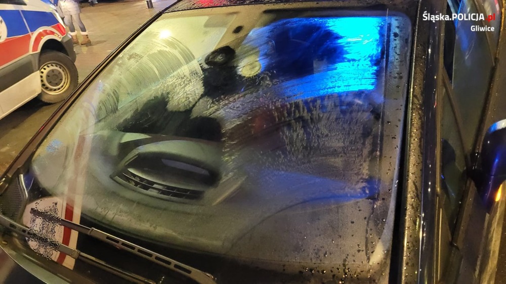 Jechała z zamarzniętą szybą - wjechała w rodzinę na przejściu