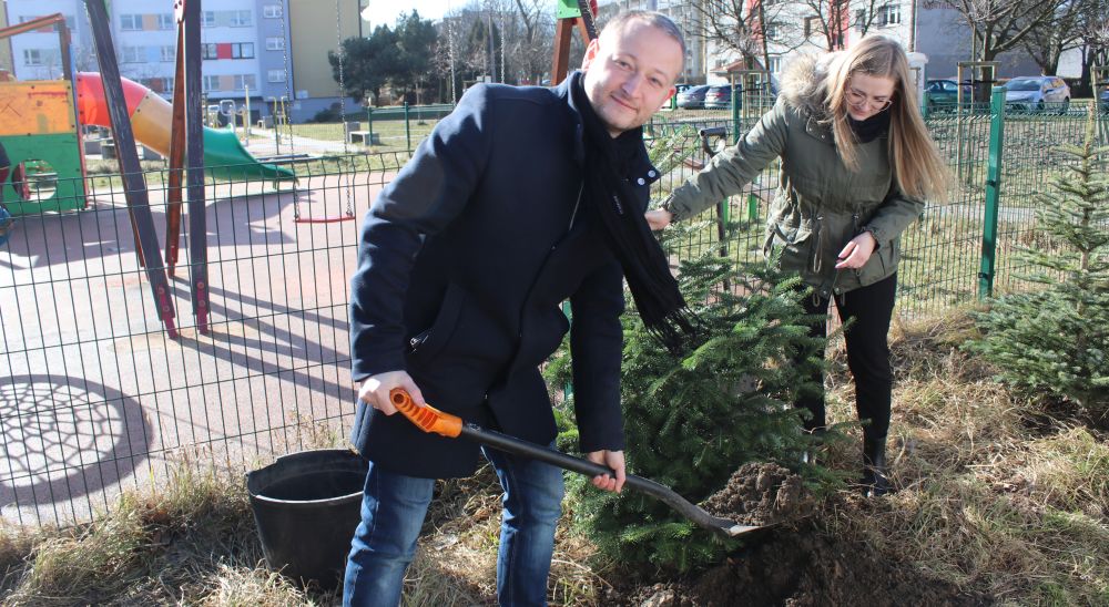 Choinki otrzymały nowe życie