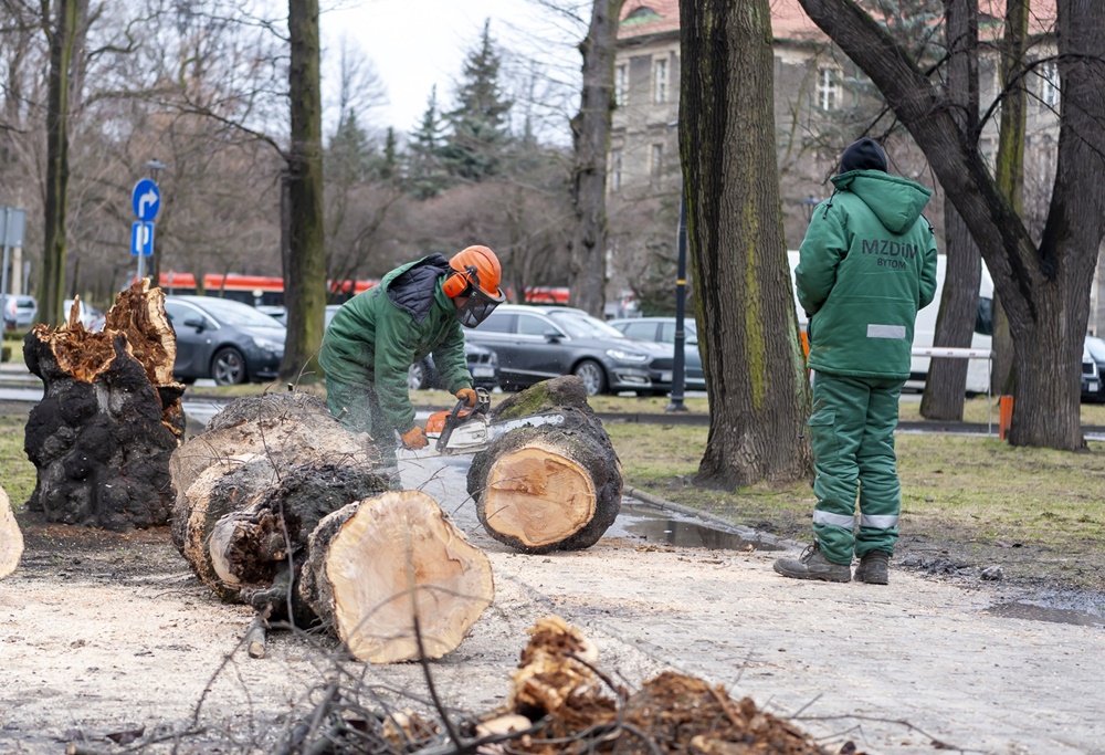 Służby miejskie usuwają skutki silnego wiatru