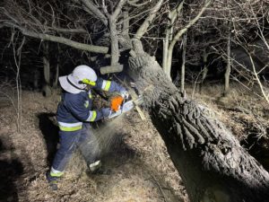 Orkany szalały w powiecie mikołowskim. Strażacy interweniowali 89 razy!