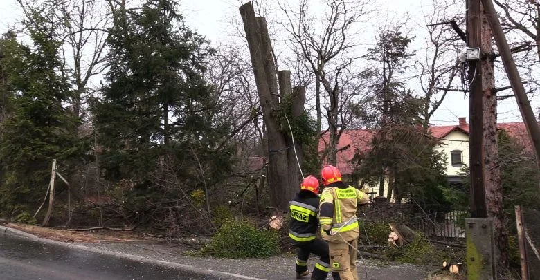 Trwa liczenie strat po wichurach, które przeszły nad woj. śląskim [WIDEO]