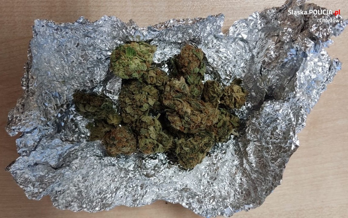 Prowadził pod wpływem narkotyków. Kierowca i jego 4 pasażerów zostało zatrzymanych