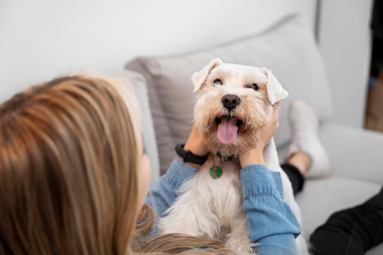 Stres u psa - jak się objawia i jak pomóc mu w rozładowaniu napięcia?