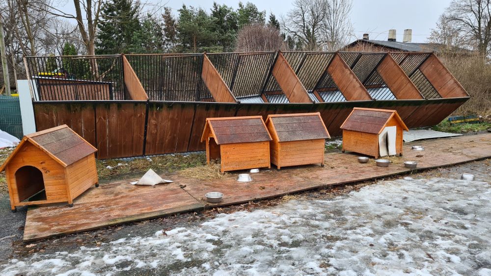 Ruszyła zbiórka na rzecz Fundacji S.O.S dla Zwierząt. Silne wiatry zniszczyły schronisko