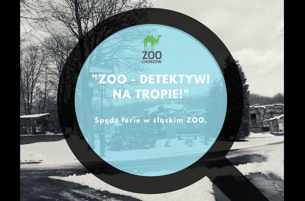 Spędź ferie w chorzowskim ZOO!