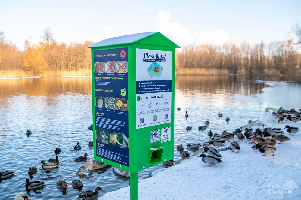 Ptasi Bufet pojawił się na terenie Parku Śląskiego – dokarmiaj nie szkodząc