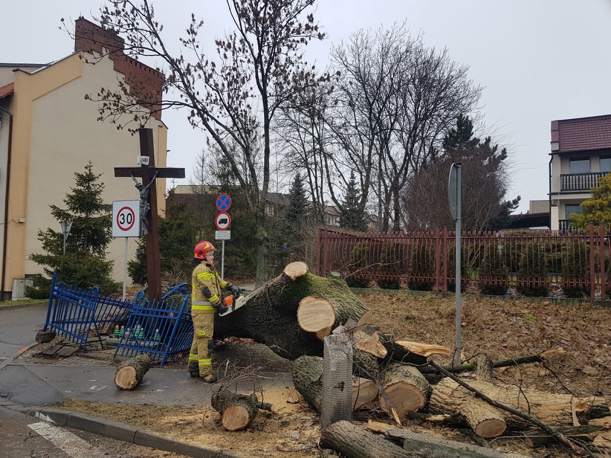 Podsumowanie skutków silnego wiatru. Jak sytuacja wyglądała w Chorzowie?