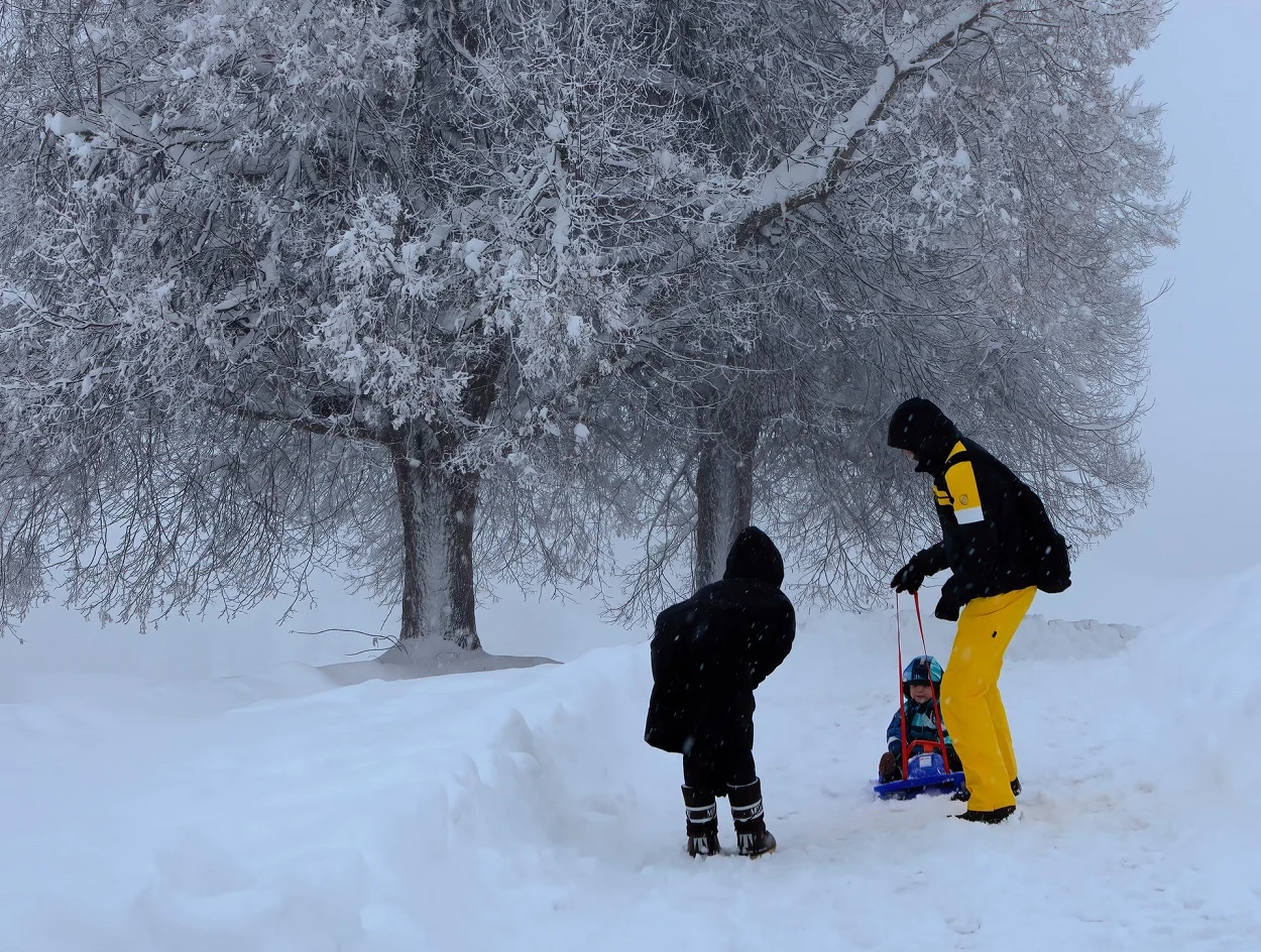 Jak spędzić ferie w województwie śląskim? Poznaj najciekawsze wydarzenia i atrakcje!