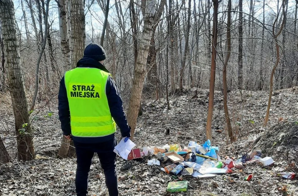 Posypały się mandaty. Straż miejska ukarała twórcę nielegalnego wysypiska