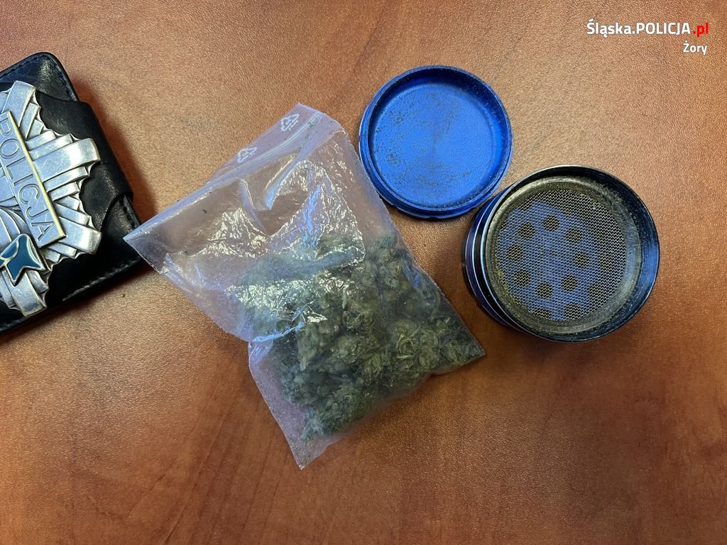 22-latek zatrzymany za posiadanie narkotyków. Miał przy sobie młynek i susz