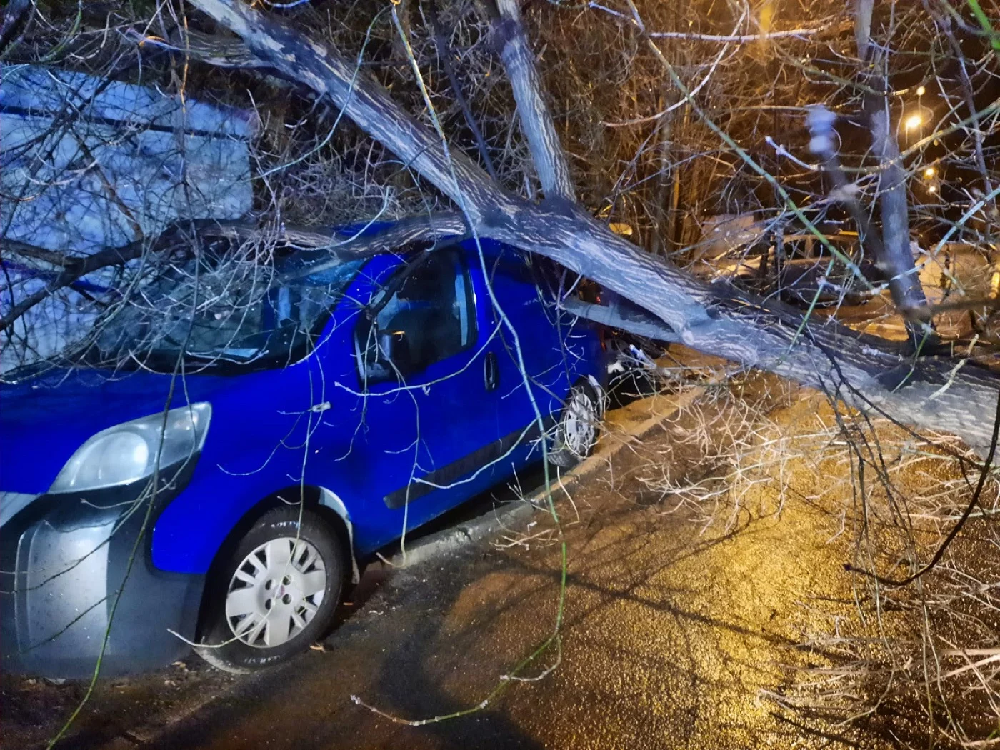 Interwencje po przejściu silnych wiatrów przez Zabrze