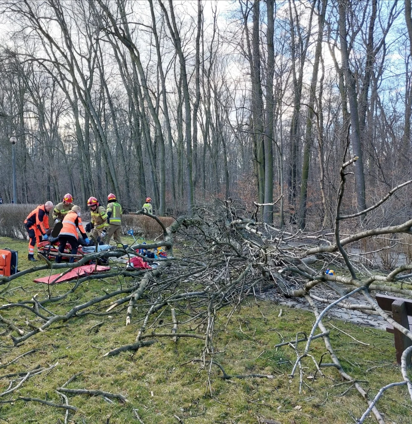 Interwencje po przejściu silnych wiatrów przez Zabrze