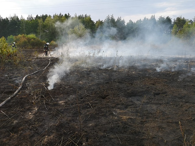 Ochotnicza Straż Pożarna Ruda Śląska