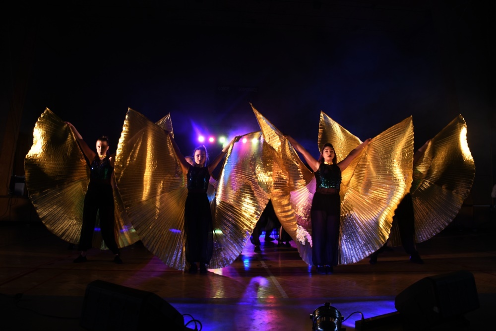 Impreza charytatywna Dzieci - Dzieciom 10