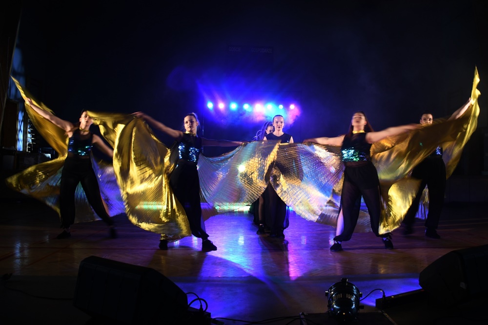 Impreza charytatywna Dzieci - Dzieciom 11