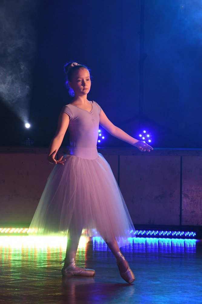 Impreza charytatywna Dzieci - Dzieciom 38